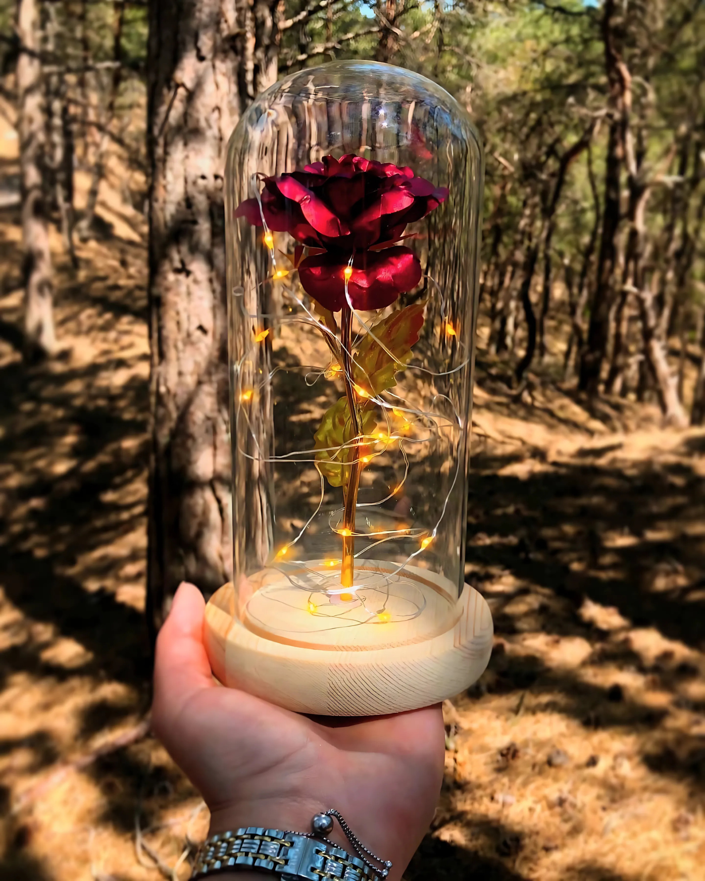 Rose of Eternity