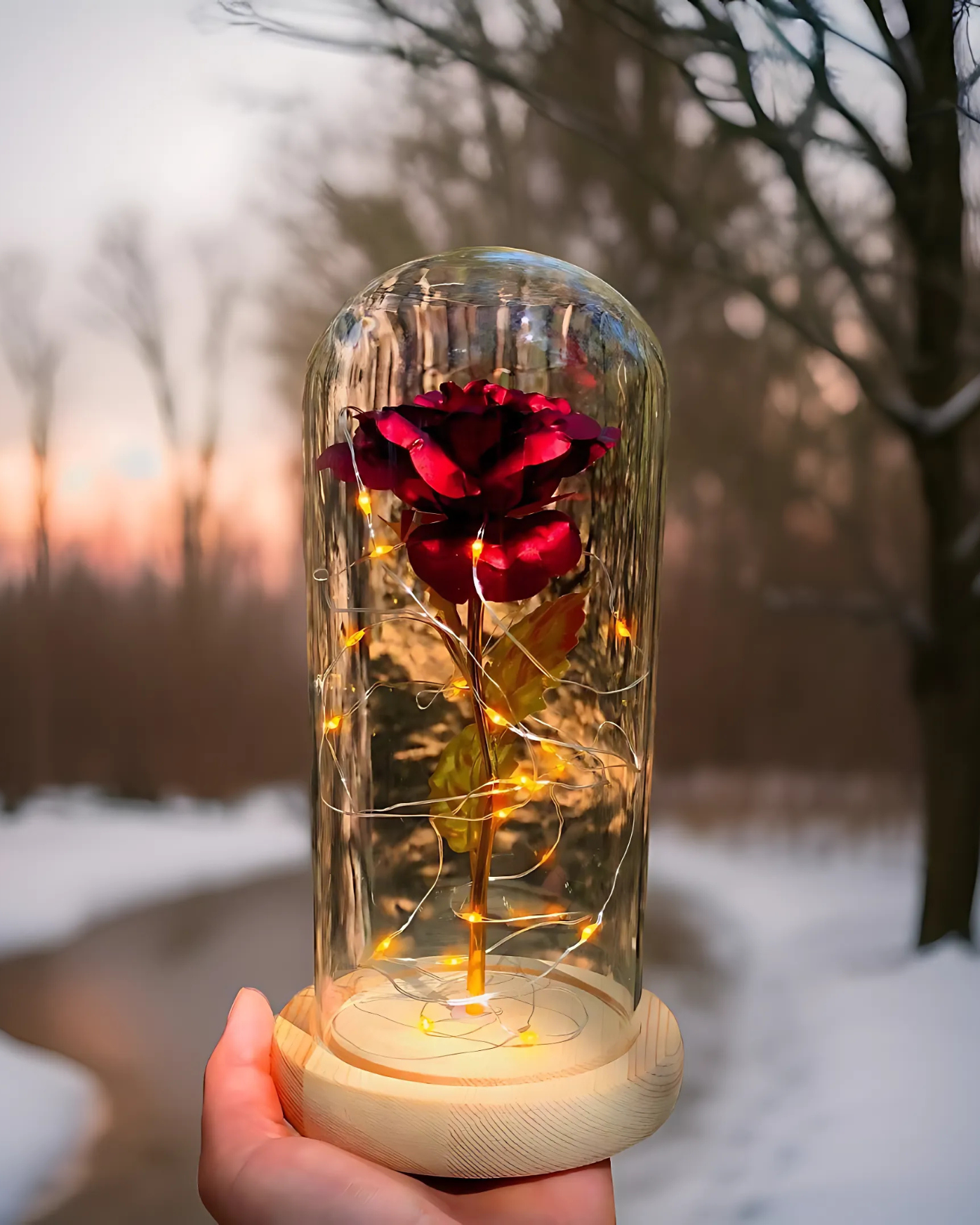 Rose of Eternity